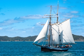 海上白色帆船图片